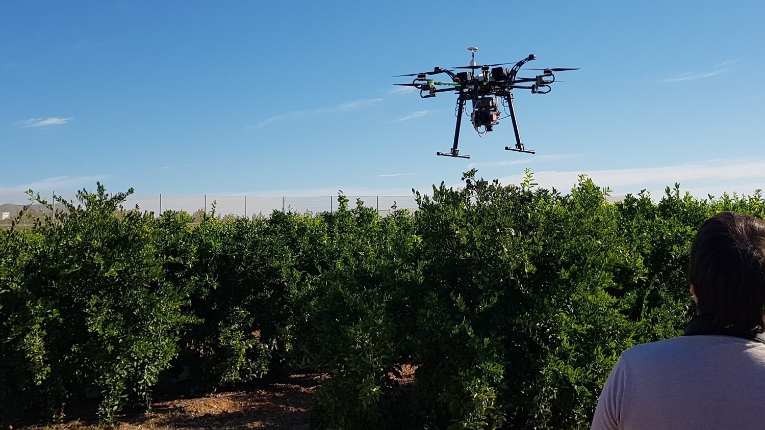 ainia digitalizacion